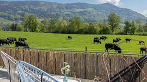 Apartment mit Garten und Grill | Bergblick - Image 2