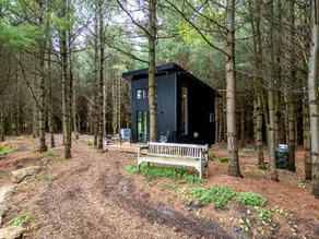Cozy Getaways in Canada, in this Charming Tiny House with Fire Pit in Ontario - Image 5