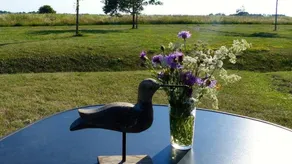 Bellissima casa con giardino, piscina e terrazza | Spiaggia nelle vicinanze | Ammette animali domestici - Image 3