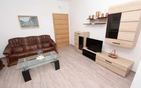 MARUCHITA Two-Bedroom Apartment with Terrace (Vase, prizemlje) - Image 2