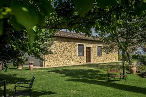 Azienda Agricola Poderuccio: Il Mandorlo - Image 2