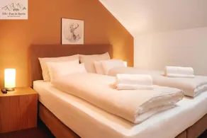 Exclusive Penthouse Mountain Suite A10 with sauna and covered balcony in Tauplitz - Image 4