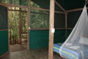 Family-Friendly Tented Cabin in the Rainforest, Austraila - Image 4