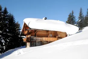 Ferienhaus mit Terrasse | Bergblick - Image 3