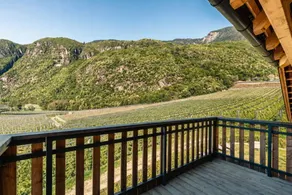 Holiday apartment with terrace, garden & BBQ | Mountain view - Image 4