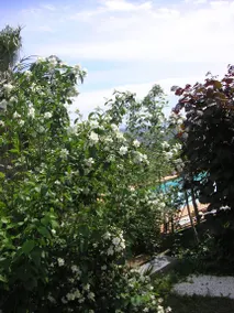 Terrazza Belvedere: STELLA DEL NORD - Image 4