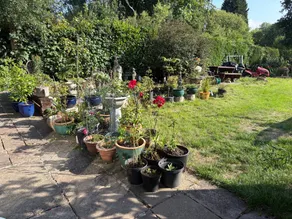 Familienorientiertes charmantes Studio mit Garten und Grill | Haustiere erlaubt - Image 2