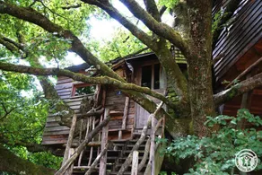 Beautiful bed and breakfast with terrace & garden | Pets are welcome - Image 3