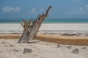 Soul Breeze Backpackers Diani - Image 3