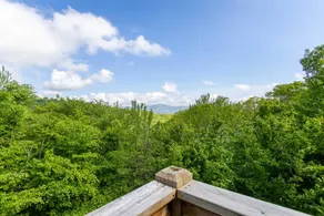 Bearadise Cabin - Pet Friendly Great Views Firepit And Yard On Sugar Mountain 2 Car Garage - Image 3