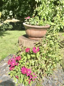 Flat with garden & barbeque - Image 2