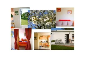 House with barbeque, garden & terrace - Image 2