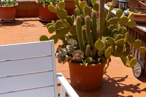 Merveilleux appartement de vacances adapté aux familles avec terrasse | Vue ville - Image 3