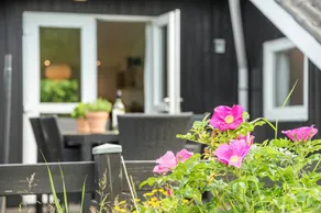 Fully equipped nice holiday home with jacuzzi, sauna & terrace - Image 4
