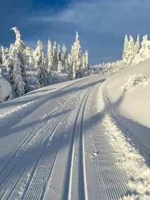 Stay At Norefjell Ski In Out And Panorama - Image 2