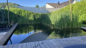 Casa accogliente e familiare con giardino, sauna e terrazza | Vista sul giardino | Adatta per il telelavoro | Sono ammessi animali domestici - Image 3