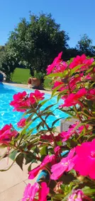 Maison avec terrasse, barbecue et jardin | Vue piscine - Image 5