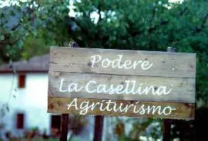 Podere la Casellina - un vero agriturismo familiare: Struttura intera - Image 2