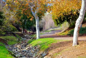 Beautiful Camarillo - Beach close (Peaceful Sanctuary) - Image 2