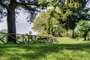 Aia del Tufo - Agriturismo Bio: Stanza dell'offerta - Image 4