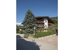 House | Pets allowed - Image 3
