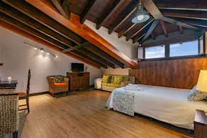 Wonderful private room with terrace, garden & jacuzzi | Garden view - Image 2