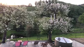 Wonderful holiday home with terrace, BBQ & garden | Mountain view | Dogs allowed - Image 3
