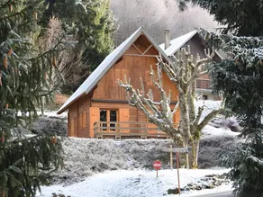 Child-friendly chalet with terrace, BBQ & garden | Garden view | Pet-friendly - Image 2