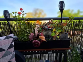 Pleasant flat with terrace | Garden view - Image 3