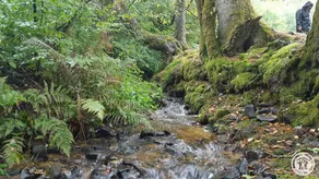 Beautiful bed and breakfast with terrace & garden | Pets are welcome - Image 4