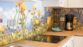 Fully equipped charming apartment with terrace | Mountain view | Ski nearby - Image 4