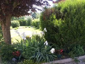 Gite with barbecue, garden & terrace - Image 5