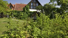 Children-friendly lovely house with garden, BBQ & terrace | Garden view | Pet-friendly - Image 2