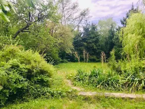 Vadrózsa út, Badacsonytomaj - Image 5