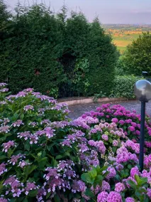 Apartment with garden | Nature view - Image 3