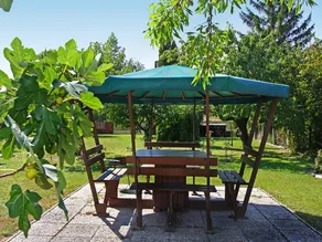 House with terrace, private pool & garden - Image 3