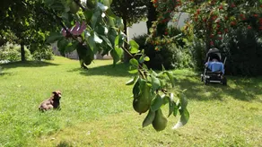 Apartment with barbeque & garden - Image 4