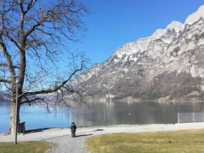 Ferienwohnung Resort Walensee 98 - Seehockli - Image 3