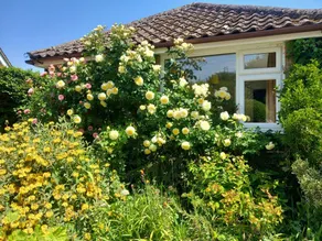 Fully equipped nice cottage with garden | Pets are welcome - Image 3