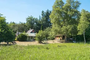 Nice holiday home with terrace | Pet-friendly - Image 4