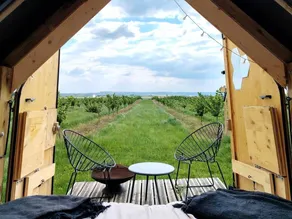 Tiny House with Stargazing Cabin & Fire Pit in Brégy, France - Image 4