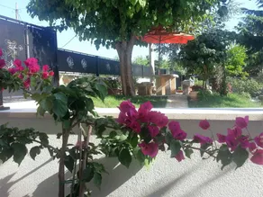 Wohnung mit Garten und Grill - Image 2