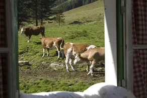 Spettacolare casa con giardino | Sono ammessi animali domestici - Image 3