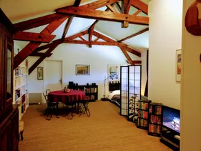 Child-friendly ample cottage with garden, terrace & BBQ | Garden view | Dogs allowed - Image 5