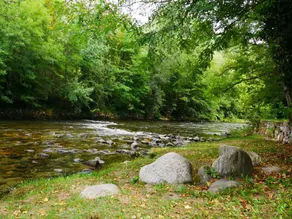 Chalet am Fuße des Beille-Plateaus, Naturcampingplatz am Fluss - Image 4