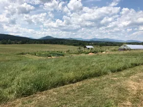 Rustic Bell Tent on Working Farm in New York with Views of the Adirondacks - Image 5