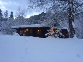 Chalet mit Terrasse und Garten - Image 2