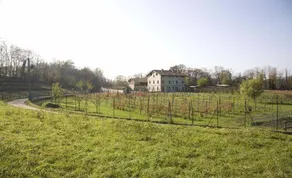 Azienda Agricola Brusignone: Mirtillo - Image 5