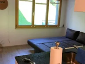 Holiday apartment | Close to the ski - Image 2