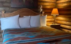 Sustainable and Pet-Friendly Cabin Perfect for Animal Lovers in Bluff Dale, TX - Image 4